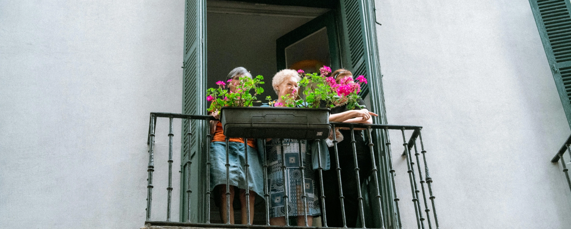 Vecinos conflictivos